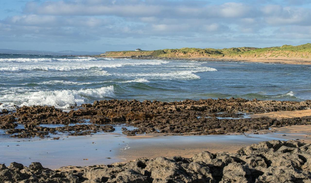 Dolphin Watch Wild Atlantic Way Villa Fanore Bagian luar foto