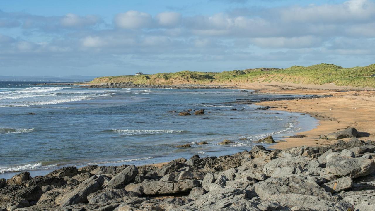 Dolphin Watch Wild Atlantic Way Villa Fanore Bagian luar foto