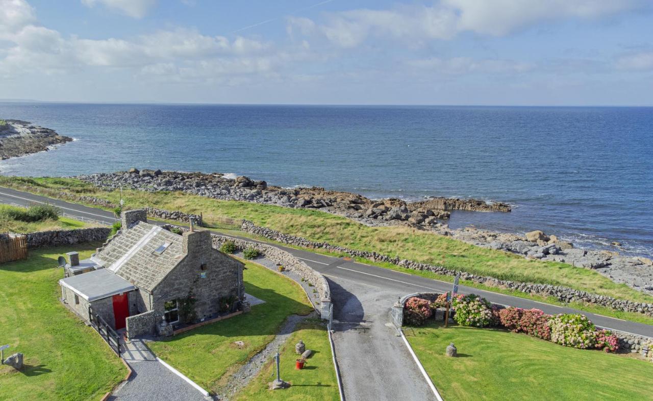 Dolphin Watch Wild Atlantic Way Villa Fanore Bagian luar foto