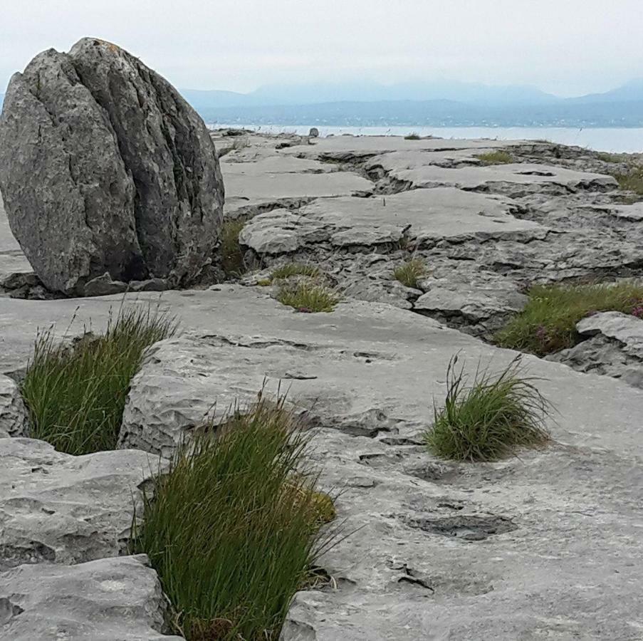 Dolphin Watch Wild Atlantic Way Villa Fanore Bagian luar foto